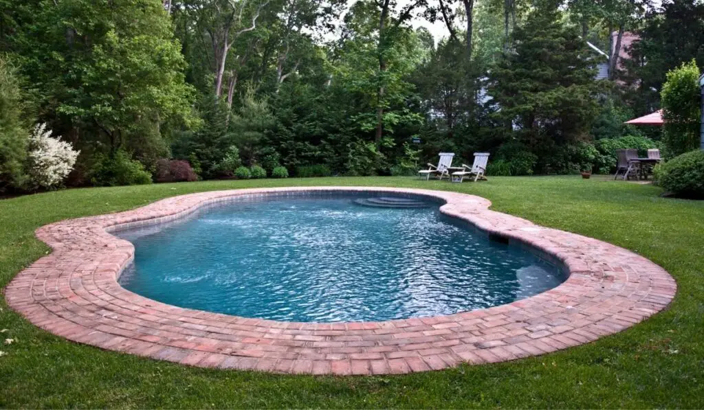 Free Form Gunite Pool with Brick Patio