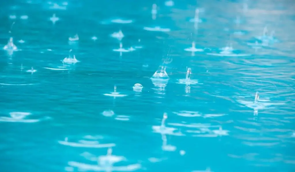 Close up of rain drops falling in the swimming pool