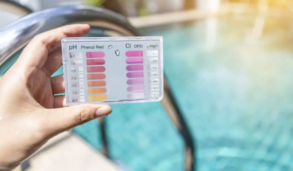 Girl hand holding swimming pool water testing test kit over blurred swimming pool 