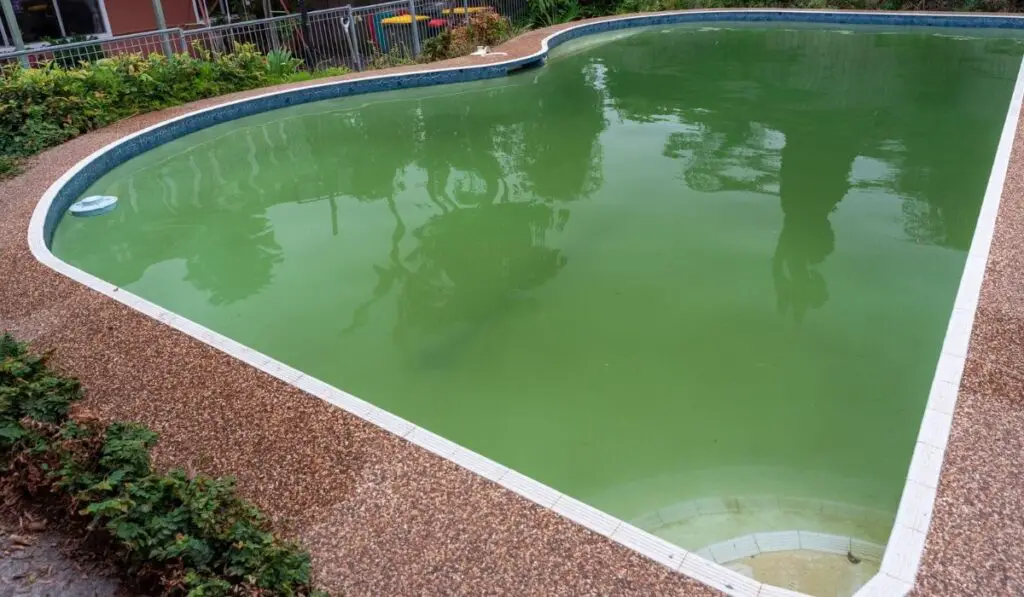 A pool turns green when there is algae in the water 