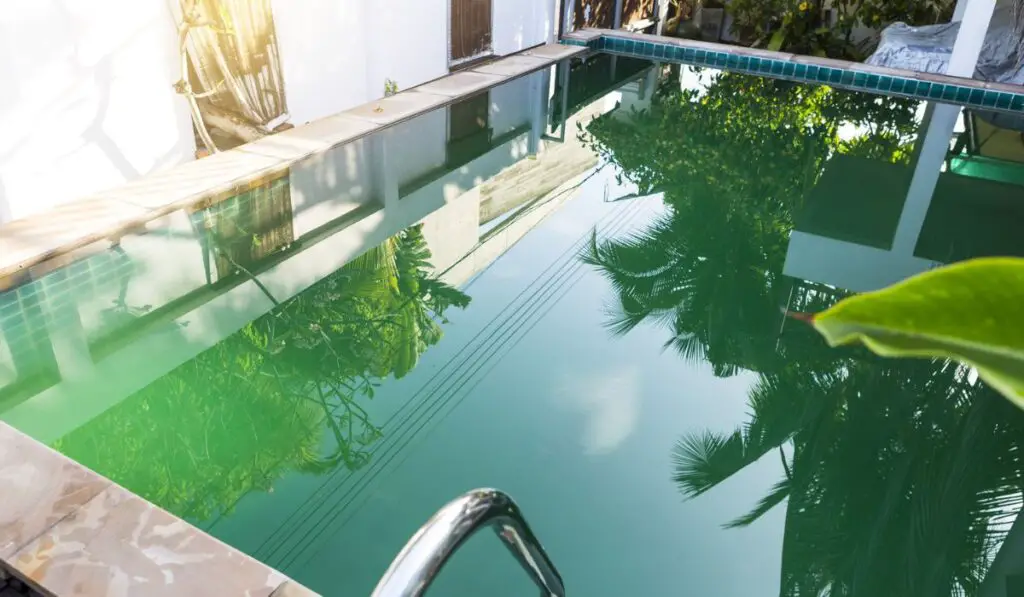 Dirty green pool