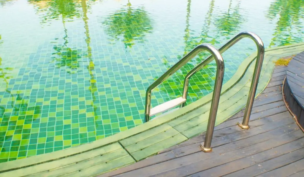Green swimming pool with teak wood flooring