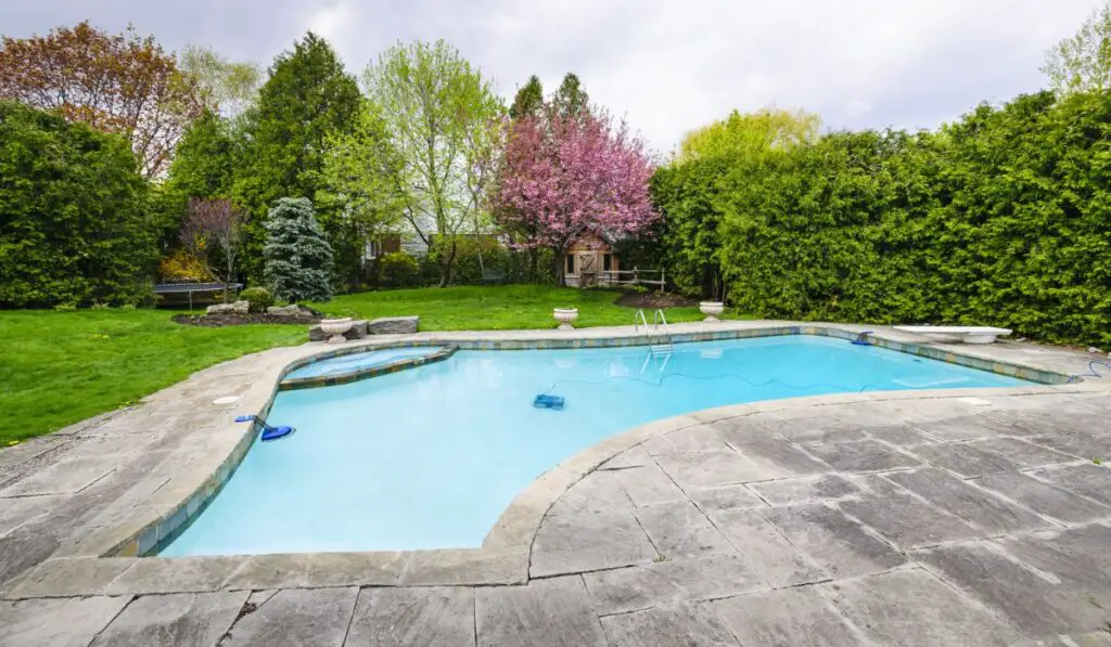 Swimming pool in backyard