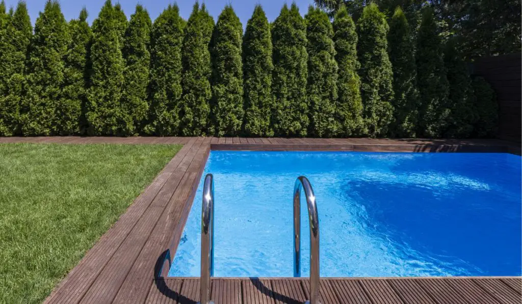 Swimming pool in the garden with trees and green grass during summer 