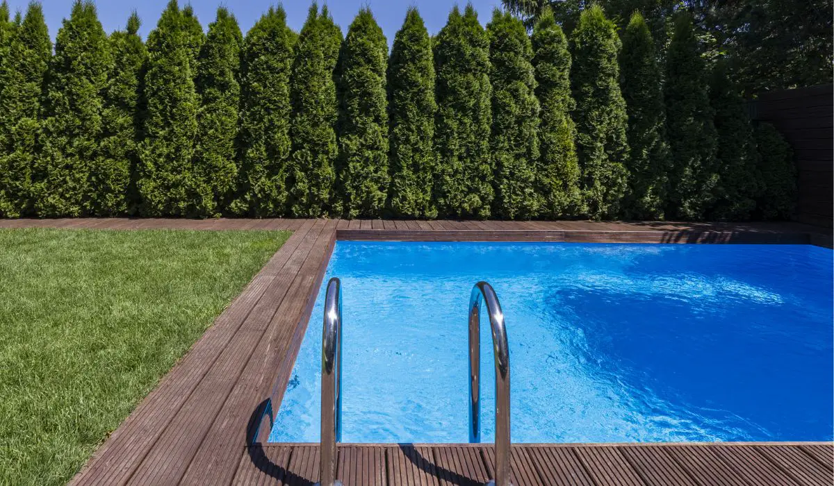 Swimming pool in the garden with trees and green grass during summer