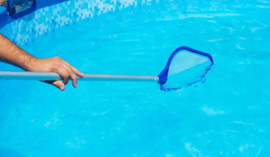 Backyard garden swimming pool cleaning close up