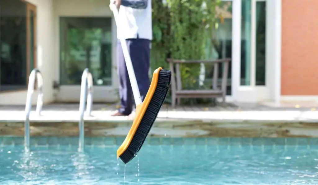 Cleaning a swimming pool with a brush