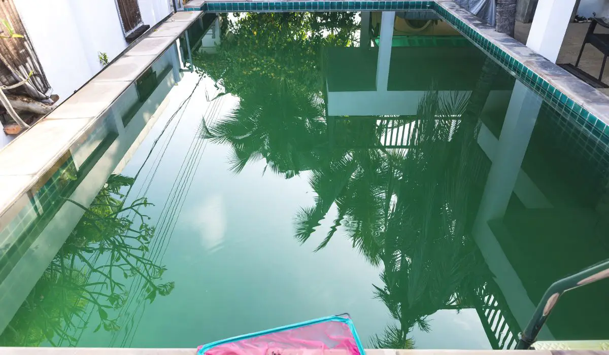 Green pool