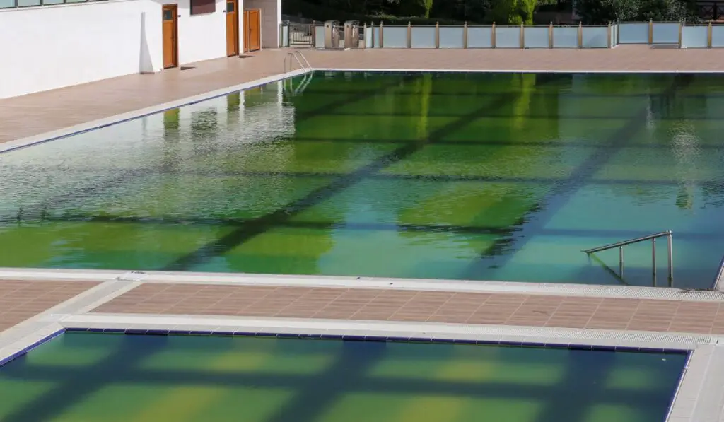 Rotten swimming pool water has been green