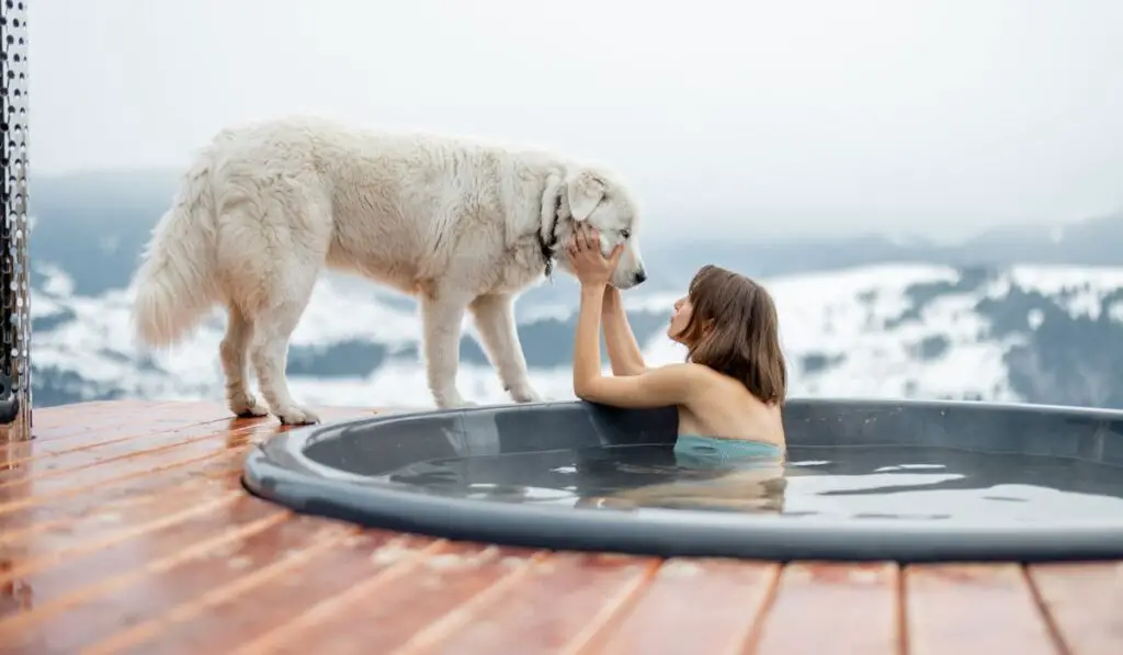 Woman rest with a dog at mountains