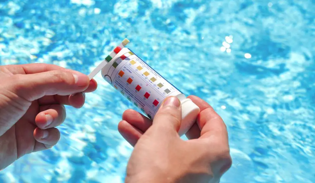 Checking the water quality of a pool with the help of a test strip with PH value, chlorine and algaecide