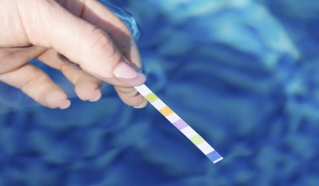 Testing the water quality in the pool with test strip