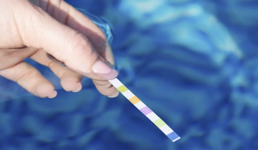 Testing the water quality in the pool with test strip