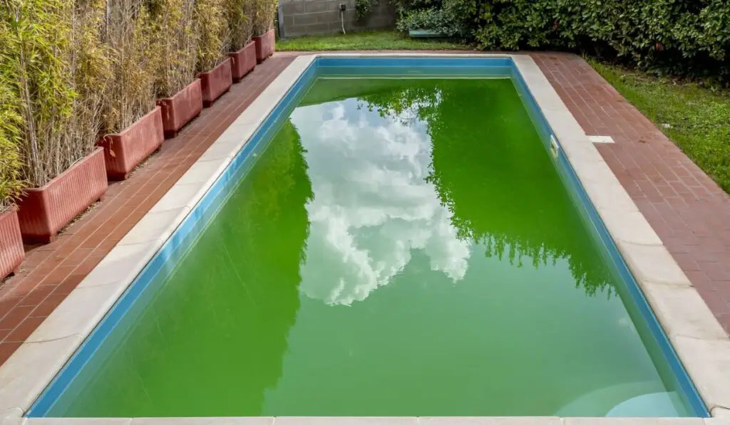 Pool with cloudy green water due to the presence of algae and dirty